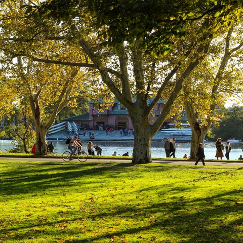 Autumn in the park in Cambridge, MA near the Charles River with the Harvard Newell Boathouse.